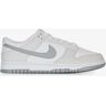 Schoenen Nike Dunk Low Grijs/wit Heren 43 male