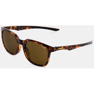 Sinner Bauhi Sunglasses Tortoise Matt Black Zonnebril Bruin One size Sinner Bauhi Sunglasses Tortoise Matt Black Zonnebril Bruin One size