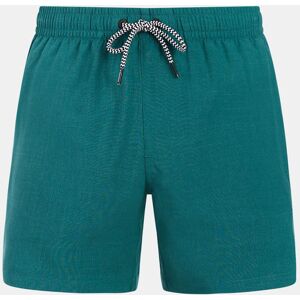 Protest Davey Beachshort Zwembroek Groen L Protest Davey Beachshort Zwembroek Groen L