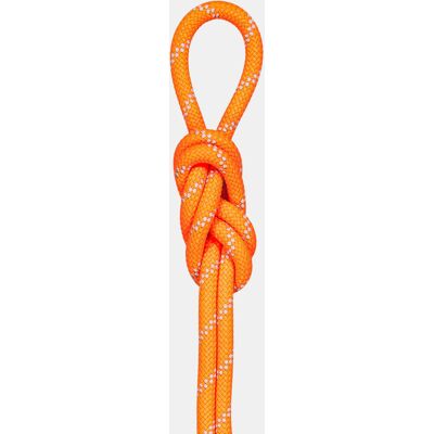 Mammut 9.5 Alpine Droog Touw - Klimtouw Mammut 9.5 Alpine Droog Touw - Klimtouw