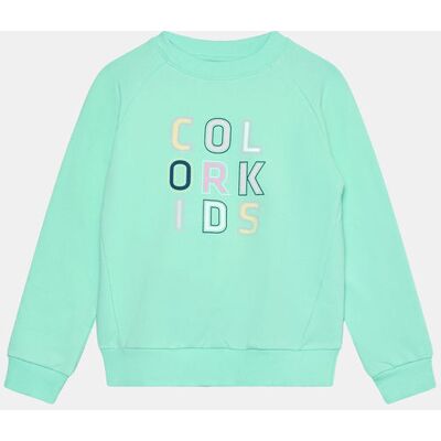 Color Kids Sweat W. Logo Print Trui Junior Groen 104 Color Kids Sweat W. Logo Print Trui Junior Groen 104