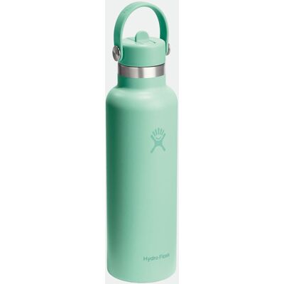 Hydro Flask 21 Oz Standard Flex Straw Cap Drinkfles Groen One size Hydro Flask 21 Oz Standard Flex Straw Cap Drinkfles Groen One size