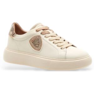 Blauervoor vrouwen. F5VENUS01 Leren gympen met beige logo (36), Leer, 1 tot 3 cm, Veters, Casual Blauervoor vrouwen. F5VENUS01 Leren gympen met beige logo (36), Leer, 1 tot 3 cm, Veters, Casual