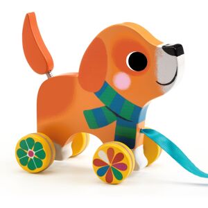DJECO Lou Houten Trekspeelgoed - Ondersteunt de eerste stappen DJECO Lou Houten Trekspeelgoed - Ondersteunt de eerste stappen
