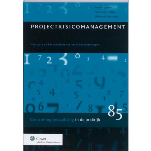 Koninklijke Boom Uitgevers Projectrisicomanagement - Controlling & Auditing In De Praktijk - P. Noordam