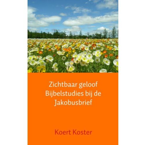 Brave New Books Zichtbaar Geloof Bijbelstudies Bij De Jakobusbrief - Koert Koster