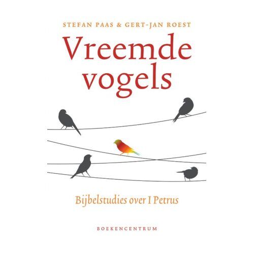 Vbk Media Vreemde Vogels - Stefan Paas