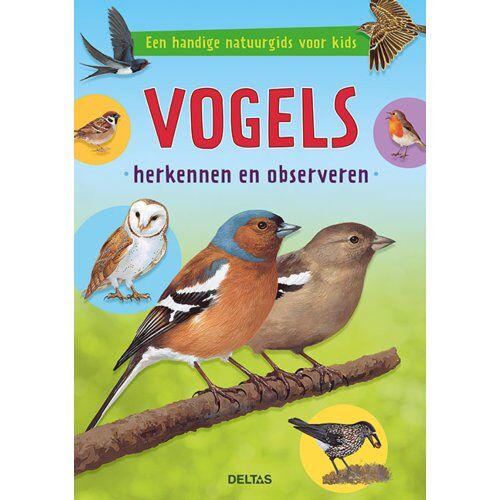 Centrale Uitgeverij Deltas Vogels Herkennen En Observeren - Valerie TRACQUI