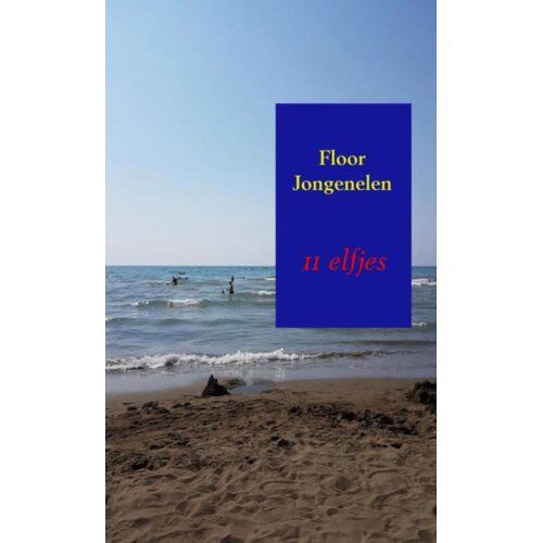 Brave New Books 11 Elfjes - Floor Jongenelen