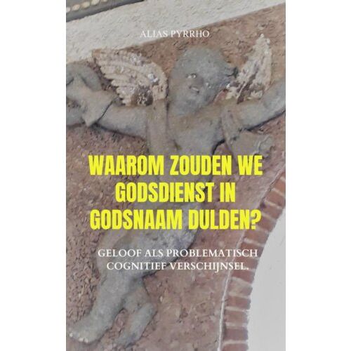 Mijnbestseller B.V. Waarom Zouden We Godsdienst In Godsnaam Dulden? - Alias Pyrrho