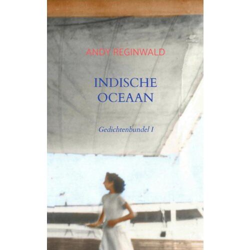 Brave New Books Indische Oceaan - Andy Reginwald