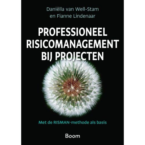 Koninklijke Boom Uitgevers Professioneel Risicomanagement Bij Projecten - Daniella van Well-Stam