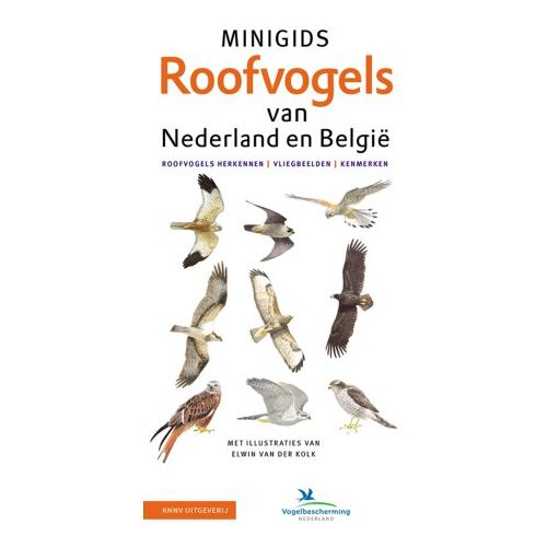 Knnv Uitgeverij Set Minigids Roofvogels Van Nederland En Belgie - Minigids - Jip Louwe Kooijmans