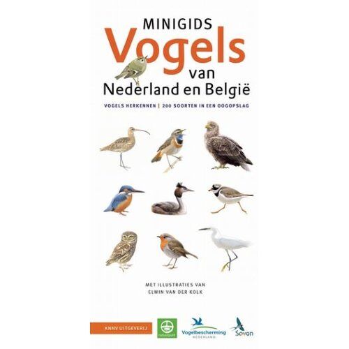 Knnv Uitgeverij Set Minigids Vogels Van Nederland En België - Minigids - Jip Louwe Kooijmans
