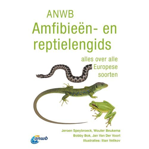 Vbk Media Anwb Amfibieën- En Reptielengids - Anwb Natuurgidsen - Jeroen Speybroeck