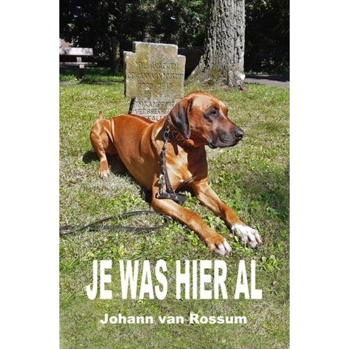 Brave New Books Je Was Hier Al - Johann van Rossum