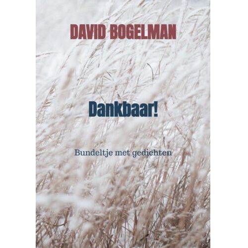 Brave New Books Dankbaar! - David Bogelman