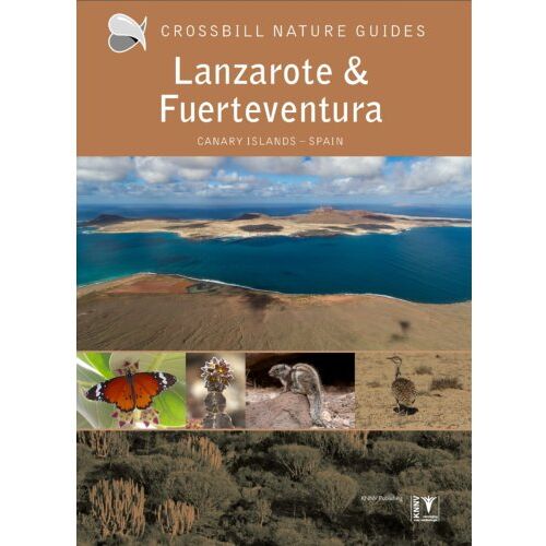 Knnv Uitgeverij Crossbill Guide Lanzarote And Fuerteventura - Crossbill Guides - Dirk Hilbers