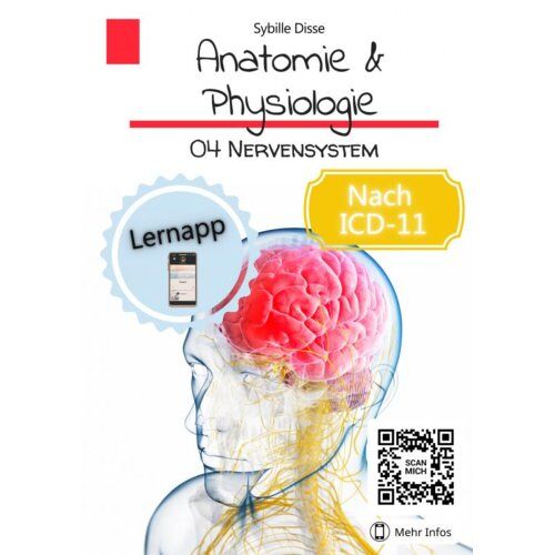 Mijnbestseller B.V. Anatomie & Physiologie Band 04: Nervensystem - Sybille Disse