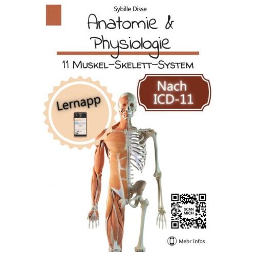 Mijnbestseller B.V. Anatomie & Physiologie Band 11: Muskel-Skelett-System - Sybille Disse