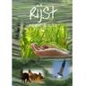 Brave New Books Rijst - maurits de Rijcke