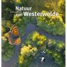 Gorcum B.V., Koninklijke Van Natuur In Het Landschap Van Westerwolde