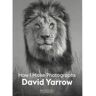 Bis Publishers Bv David Yarrow - Yarrow, David