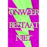 Brave New Books Onweer Bestaat Niet - R.F. Boelhouwer