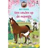 Vbk Media Een Veulen Op De Manege - Meer Paardenpraat - Britt Dekker