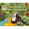 Schoolsupport Uitgeverij Bv Een Kijkje In Het Regenwoud - Habitats Ver Weg - Honor Head
