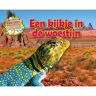 Schoolsupport Uitgeverij Bv Een Kijkje In De Woestijn - Habitats Ver Weg - Honor Head