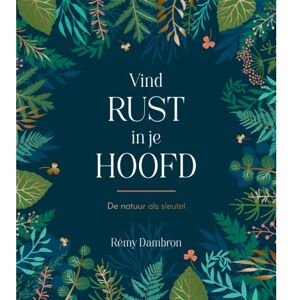 Rebo Productions Vind Rust In Je Hoofd - Rémy Dambron Rebo Productions Vind Rust In Je Hoofd - Rémy Dambron