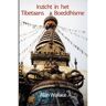 Uitgeverij Maitreya Inzicht In Het Tibetaans Boeddhisme - Alan Wallace
