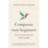 Vbk Media Compassie Voor Beginners - Thupten Jinpa