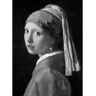 Phaidon Vermeer - Ludwig Goldscheider