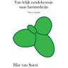 Mijnbestseller B.V. Van Lelijk Eendekroosje Naar Hartmedicijn - Hay van Soest