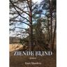 Brave New Books Ziende Blind - Hans Manders