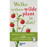 Vbk Media Welke Eetbare Wilde Plant Is Dat? - Welke Is Dat? Natuurgidsen - Christa Bastgen