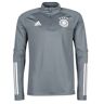 Sweater adidas DFB TR TOP Grijs EU S,EU M Man