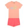 Setjes Puma BB SET ABRI Roze 0 / 3 Monate,3 / 6 Monate,6 / 9 Monate Girl