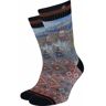 Socks Xpooos Sokken Lukes Roadtrip Multicolour 39 / 42 Man