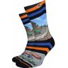 Socks Xpooos Sokken Roadtrip Multicolour 39 / 42 Man