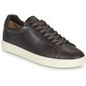 Lage Sneakers Clae BRADLEY Bruin 40,41,42,43 Man