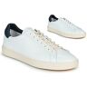 Lage Sneakers Clae BRADLEY Wit 36,37,38,39,40,41,42,43,44,45 Man