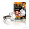 Exo Terra Wxo-Terre Intense Basking Spot Lamp 75watt