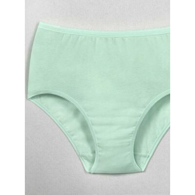 Tailleslip 36/38 op kleur gesorteerd Dames Tailleslip 36/38 op kleur gesorteerd Dames