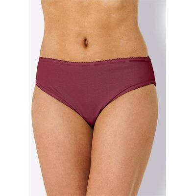 Bikinislip 36/38 steengrijs + zand + bordeaux Dames Bikinislip 36/38 steengrijs + zand + bordeaux Dames