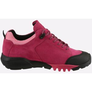 veterschoen 4,5 pink Dames veterschoen 4,5 pink Dames