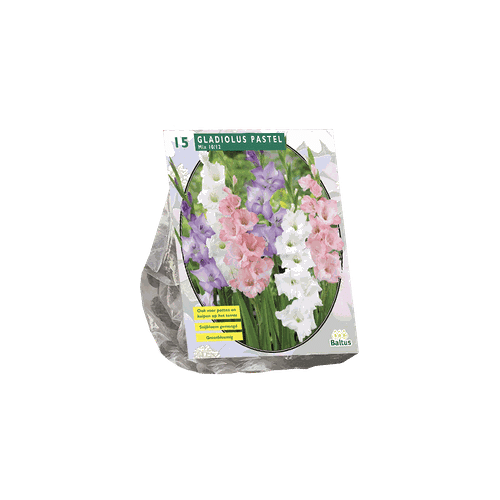 3 stuks - Zomer Bloembollen Gladiolus Pastel Mix per 15 - Baltus