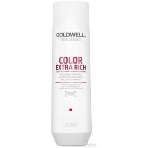 Goldwell Dualsenses Color Extra Rich Brilliance Shampoo 250ml Goldwell Dualsenses Color Extra Rich Brilliance Shampoo 250ml
